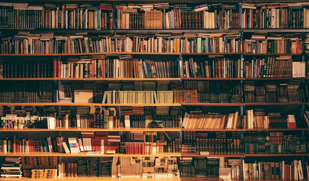 Rangée de livres dans une bibliothèque - maquette et mise en page livre auto-édition