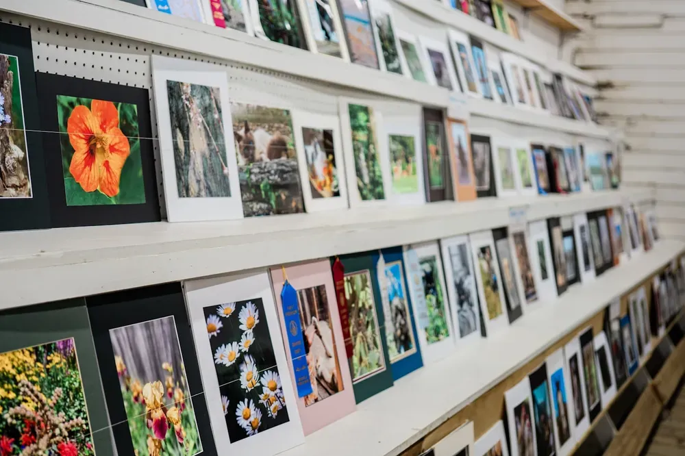 Des photos accrochées au mur