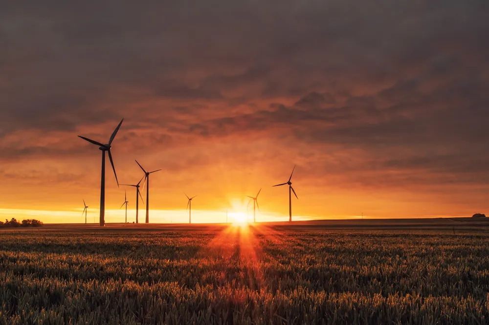 Nature et énergie renouvelable, symbole de l'hébergement web vert