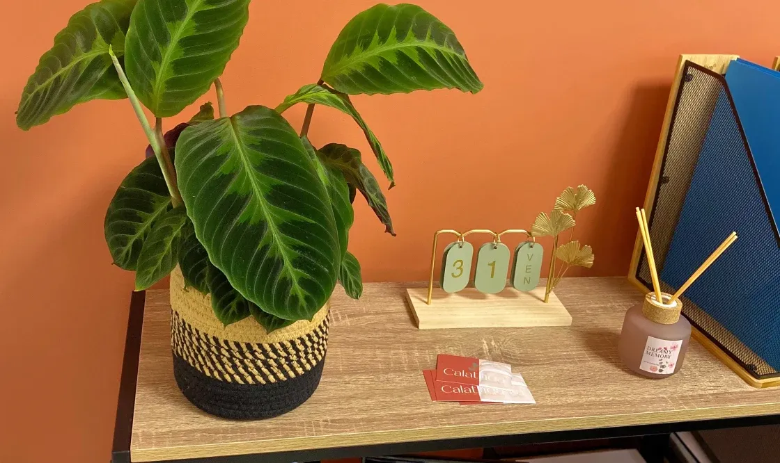 Présentation du centre esthétique Calathea