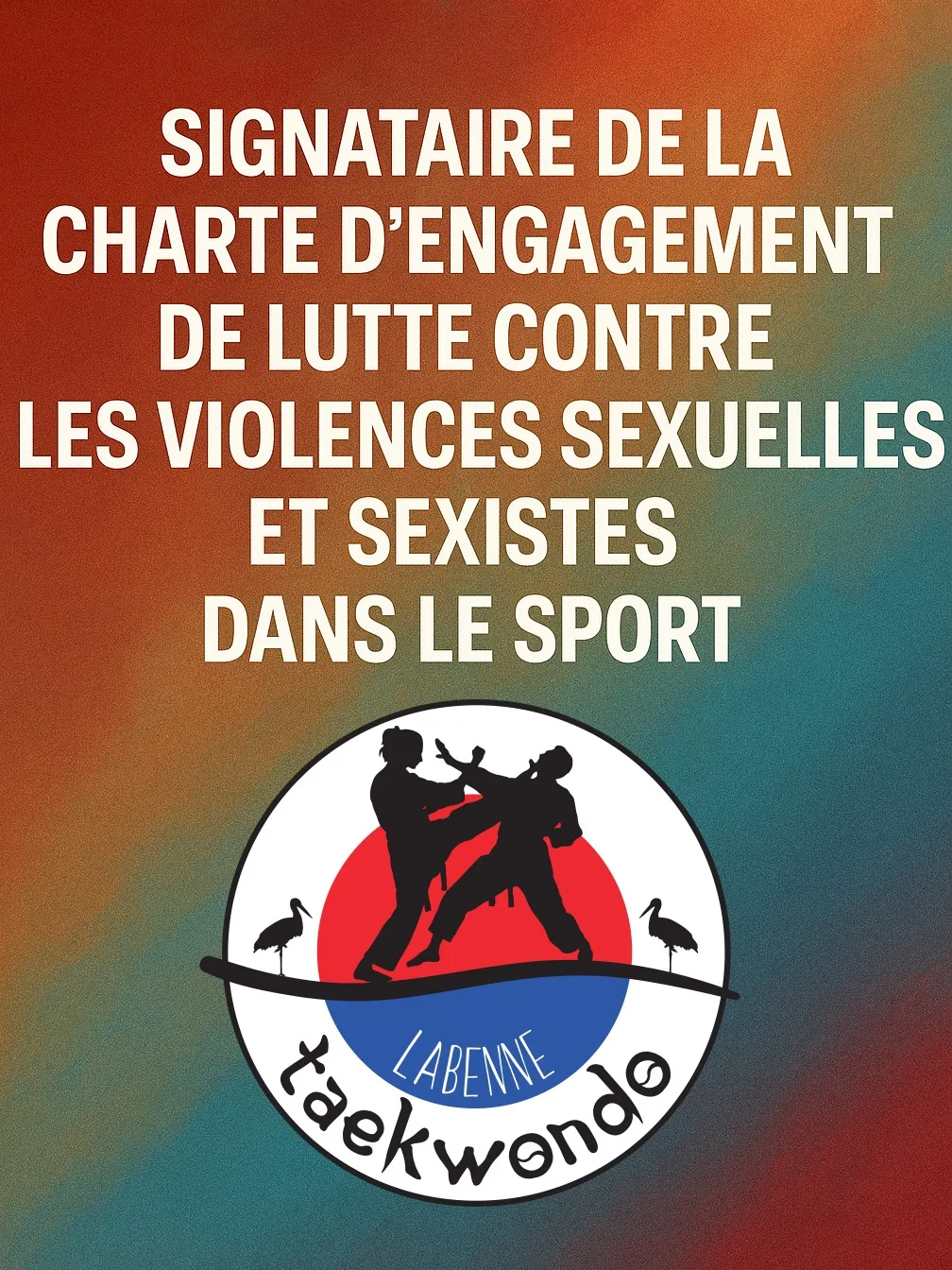 Fiche sportive et support visuel du club