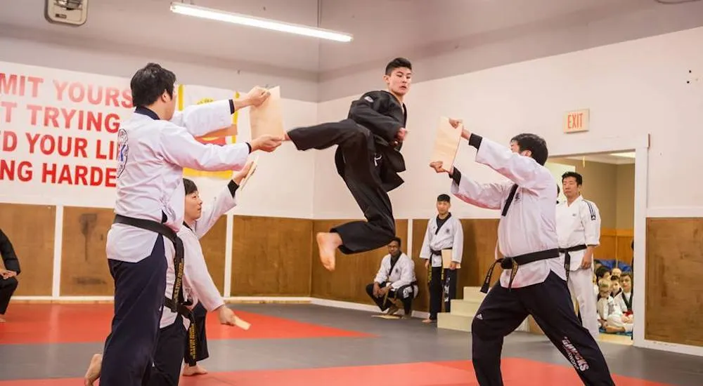 Taekwondo Labenne, Club sportif · Print
